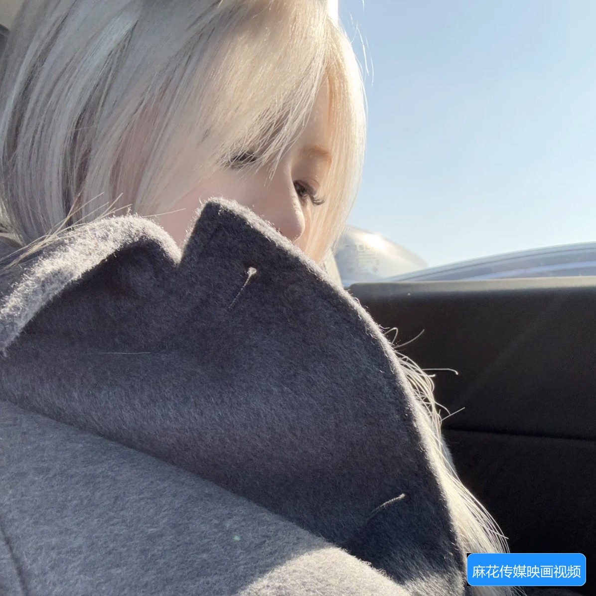 麻花传媒映画视频中的红杏完整版有哪些内容值得观看？